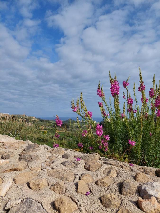 Mj Farmhouse B&B Xagħra Zewnętrze zdjęcie
